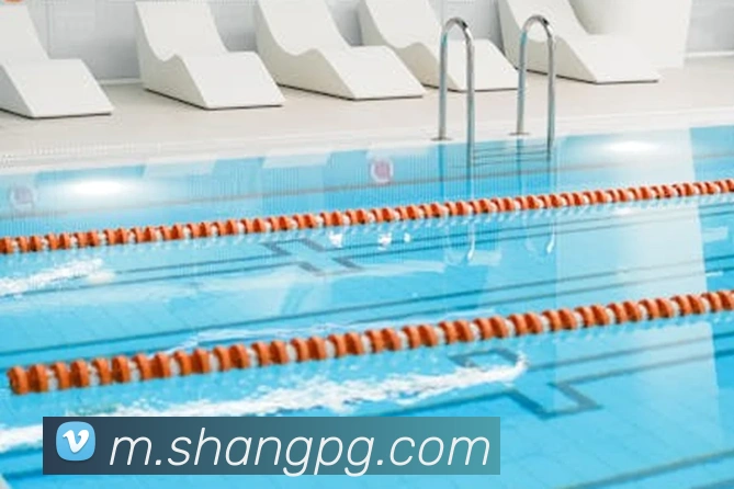 App Interface Preview