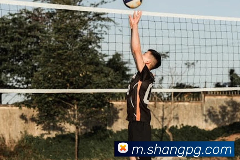 pg官网APP 封面图